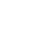 D&P
