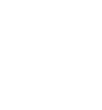 Y1