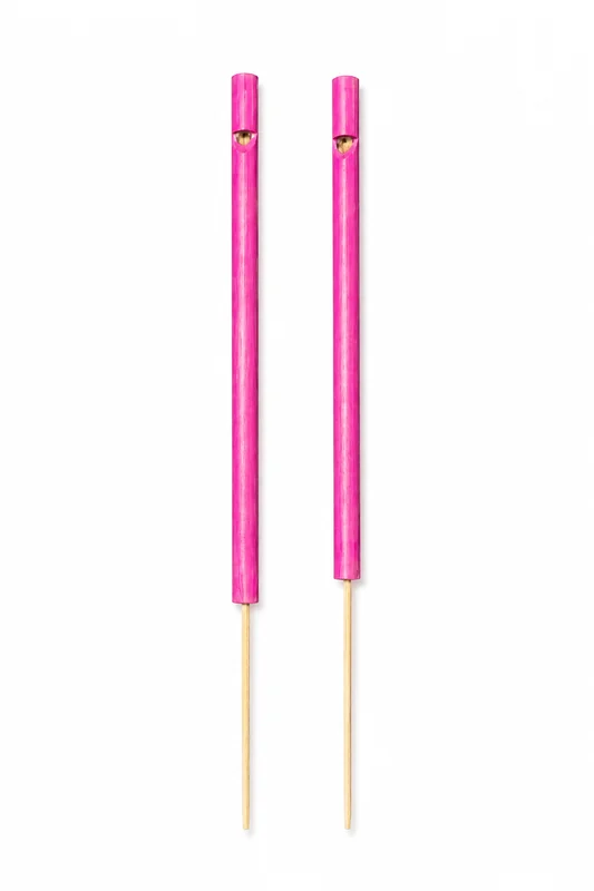 SA20 flutes and whistles
