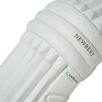 NEWBERY KUDOS PADS (25) - Image 2
