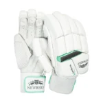NEWBERY KUDOS GLOVES (25)