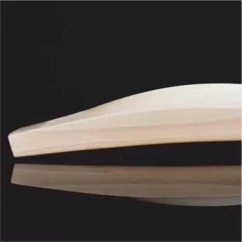 DSC SUPERNATURAL BAT WITH CASE - Image 6