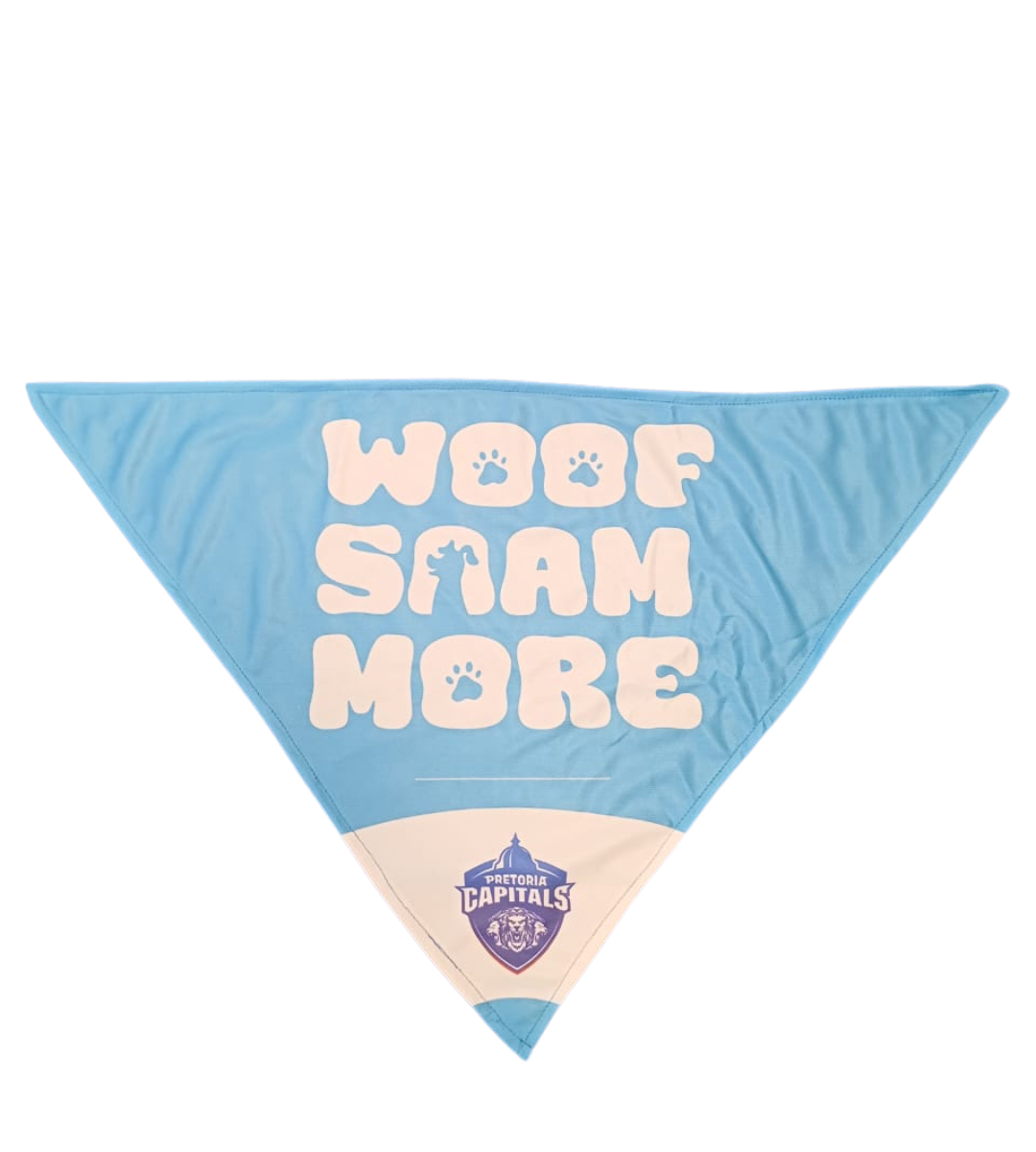 PC DOG SCARF (26)