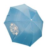 PRETORIA CAPITALS UMBRELLA  (26)